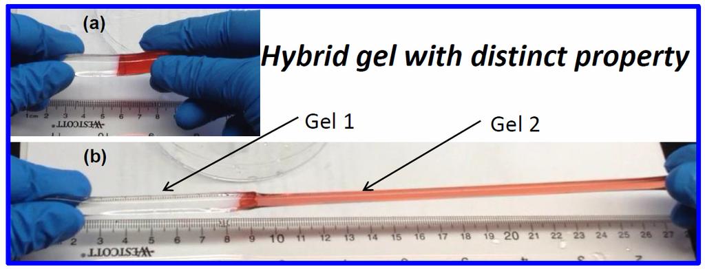 Figure S5. Hybrid hydrogel with different mechanical properties.