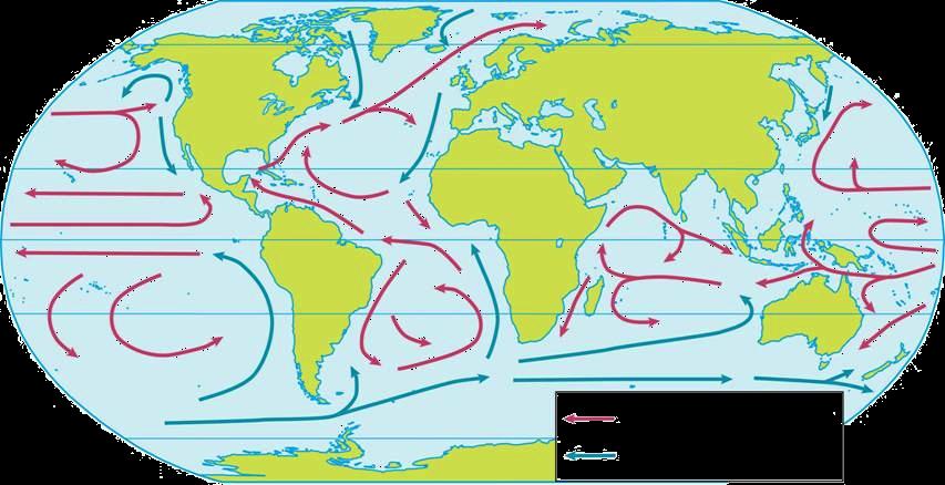 Heat Transport in the Biosphere Ocean Currents OCEAN