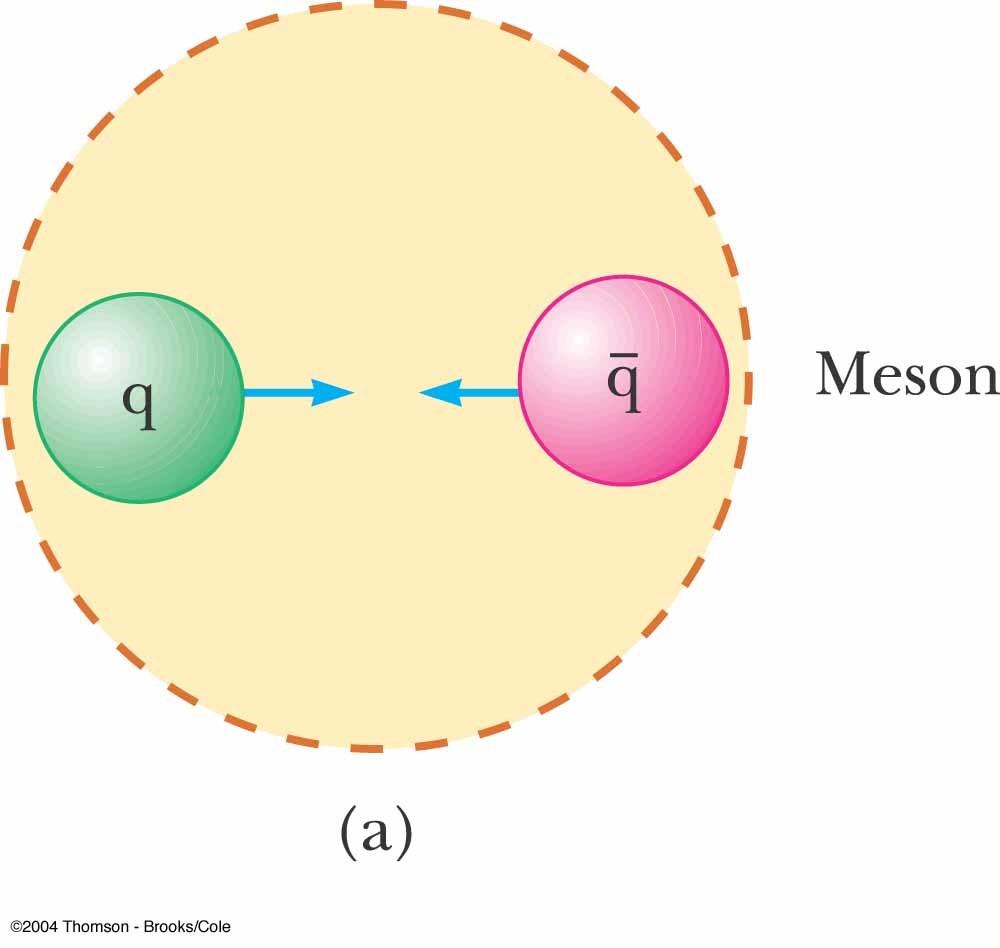 Quark Structure of a Meson A green quark is attracted to an antigreen