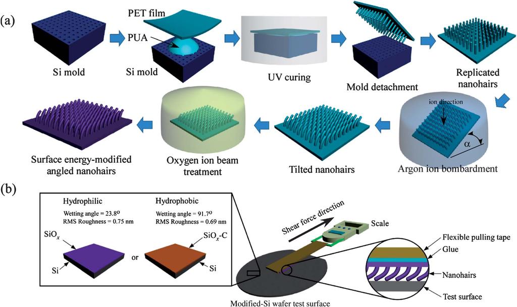 Fig. 1 (a) Fabrication of tilted nanohair arrays with surface energy modification and (b) experimental setup for measuring macroscopic shear adhesion force on hydrophilic (SiO x ) and hydrophobic