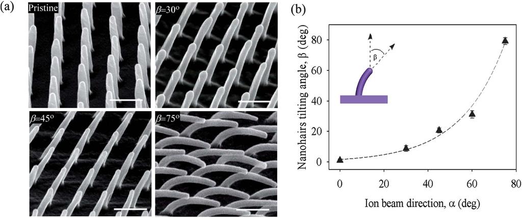 Fig. 2 (a) SEM images (45 tilting view) showing pristine nanohairs array and Ar-irradiated nanohair arrays with different tilting angles, b.