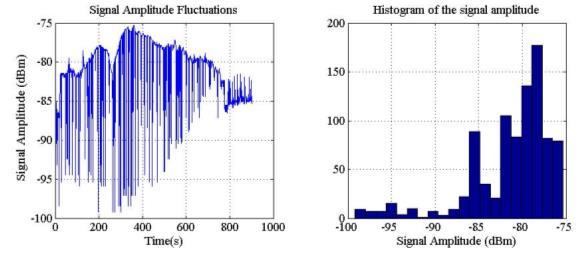 Fluctuation amplitude distribution The first