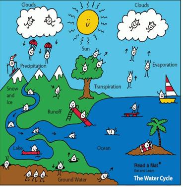Water Cycle (Hydrologic Cycle) the movement of the water between the atmosphere and the Earth s surface.