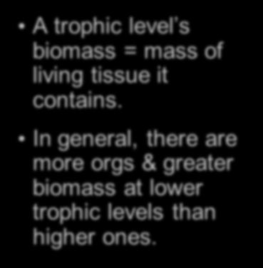 Biomass in Communities A trophic