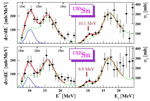 Evidence for Pygmy and Giant Dipole Resonances in 130 Sn and 132 Sn P. Adrich et al. (LAND-FRS Collaboration) Phys. Rev. Lett.
