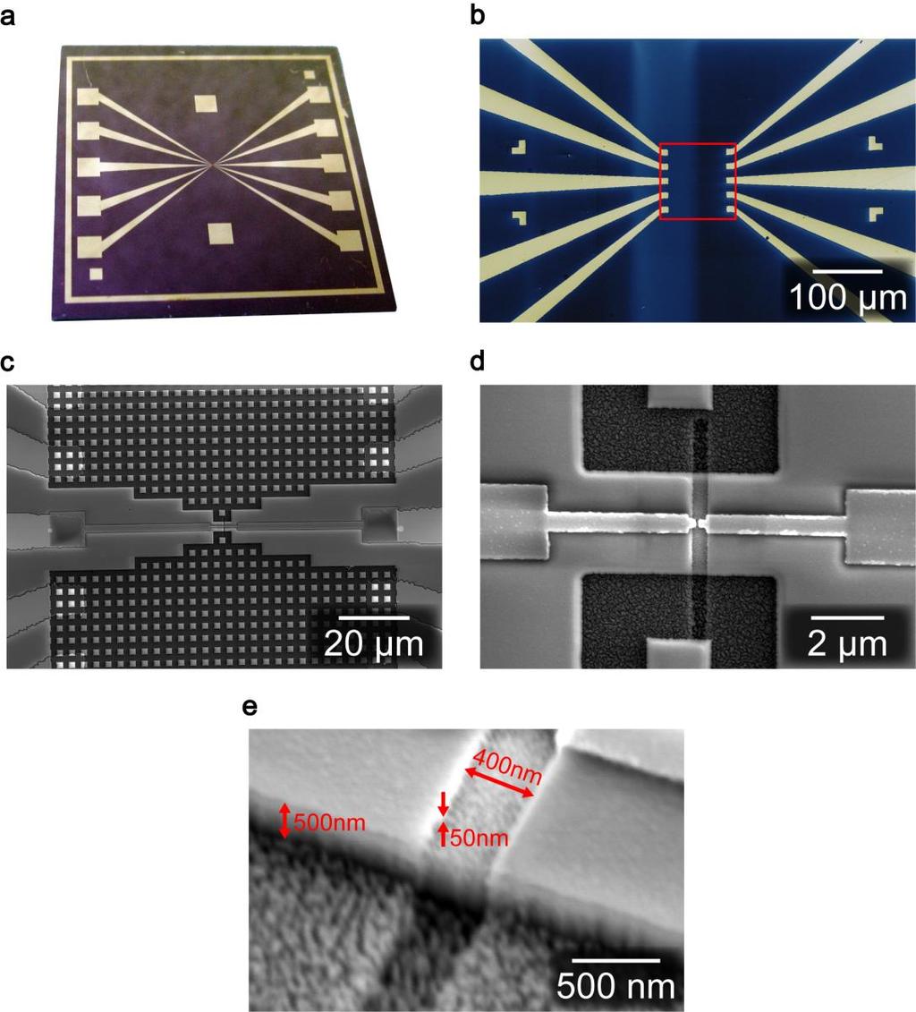 Supplementary Figure S1. Structure of the electrode-embedded nanochannel sensor. a, A photo image of the sample chip.