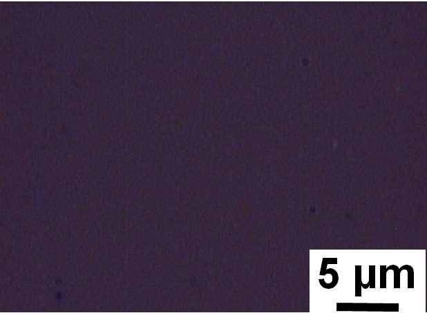 S4 (a) Optical image of one 6nm-AuNPs-decorated PCL-SH single crystal cast on glass slide.