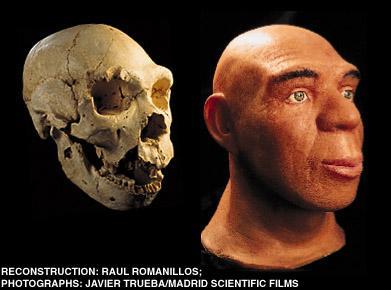 floresiensis
