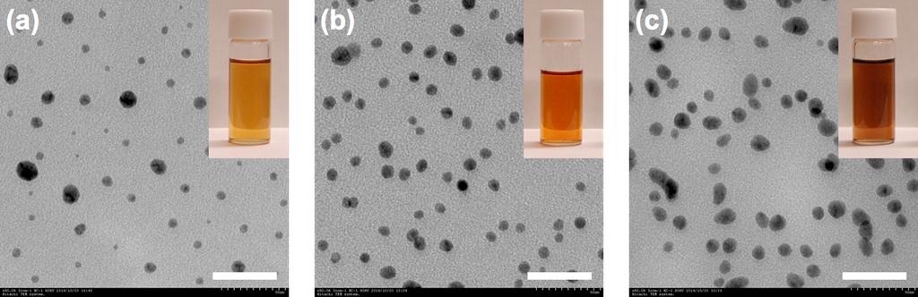 5, TEM images and Photographs of Ag NPs prepared with polymer 1, 2 and 3 Figure S5, TEM images of Ag NPs and