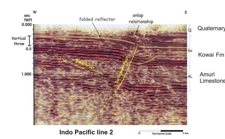 profile of the seismic reflectors