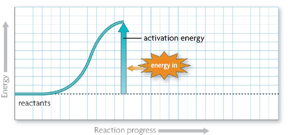 chemical reaction. Exothermic reactions release more energy than they absorb.