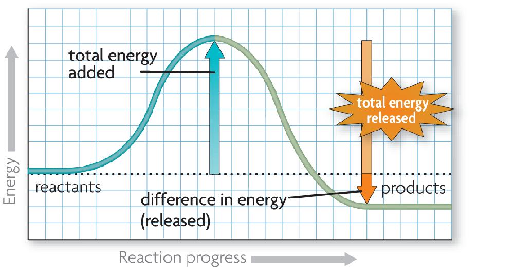 Excess energy is released by the reaction.