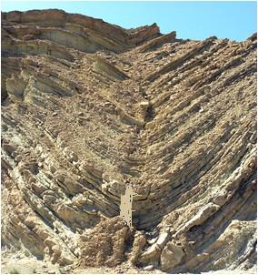 ii. Synclines: Synclines are defined as folds in which strata are downarched. The younger rocks are in interior and older rocks form outermost bend.