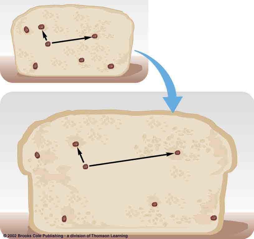Expanding Space Analogy: A loaf of raisin bread where the