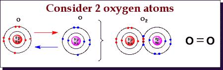 3. OXYGEN: Each of the two oxygen atoms contributes two electrons so as to have two shared pair of electrons between them.