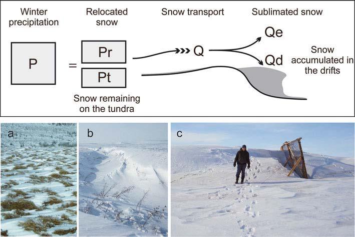 Properties of Arctic Snow: Wind Transport