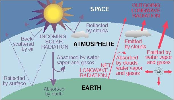 The Ocean and the Atmosphere The oceans are the earth s main reservoirs of readily available carbon dioxide (CO 2 ). Why do you think that this would be important to the earth s atmosphere?