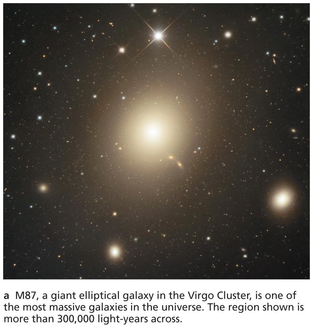 Elliptical galaxy: all spheroidal component, virtually no