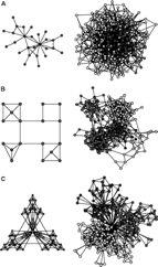 A node at the centre of a fully connected cluster has a C of 1 Clustering co-efficients and networks. Ravasz et al.