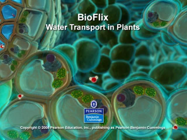 BioFlix: Water