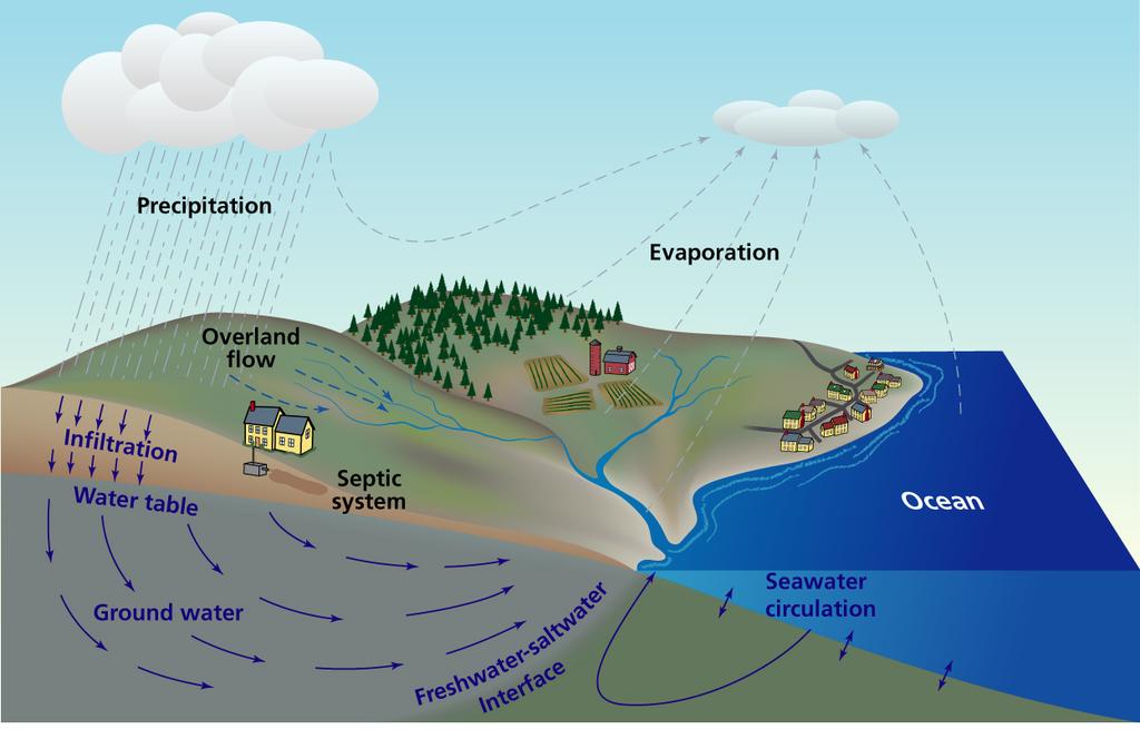 The final destination of the water drained by a river basin is an estuary or an ocean.