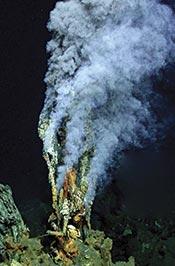 Hydrothermal vents are features on the crest of oceanic ridges