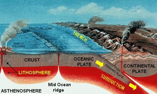 Ocean-Continent Collisions Ocean crust