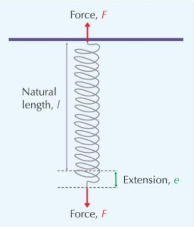Physics Revision 5) Forces Elasticity (p82-85) Deformation: Three ways of transferring energy are s..., c... or b.