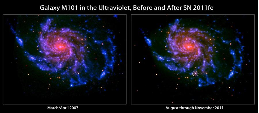 Distance to galaxies farther away: Supernovae Type Ia supernovae are great standard candles Basically the same (constant