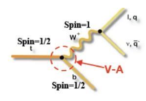 W Polarization in Top Decays W helicity is sensitive to the V-A coupling Measure the angular distribution