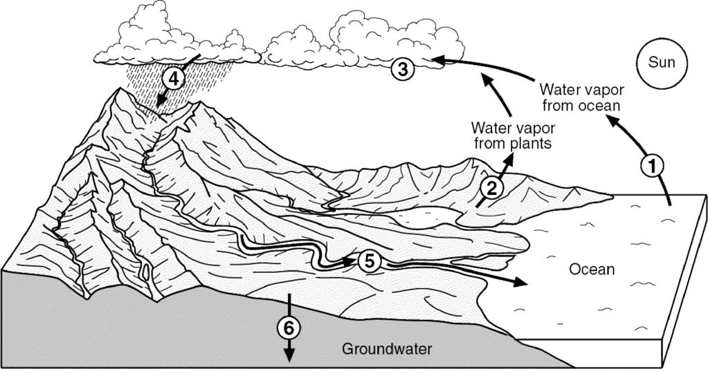 6. The accompanying graph shows the maximum possible amounts of water vapor that air can hold at different temperatures. 8. The diagram below shows a model of the water cycle.