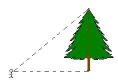 4) Determine the length of AB to the nearest tenth of a centimeter.
