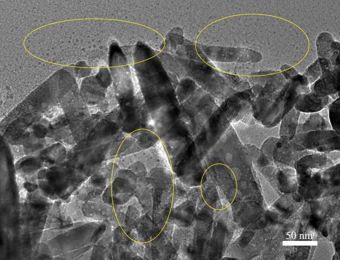 Fig. S3 TEM image of GQDs coated ZNRA. The sample for TEM test was prepared by scraping and ultrasound in ethanol. The GQDs has fallen off from ZNRA.