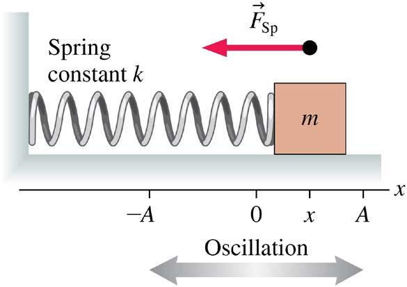 Dynamics of Simple Harmonic Motion Consider a mass m oscillating on a horizontal spring with no friction.