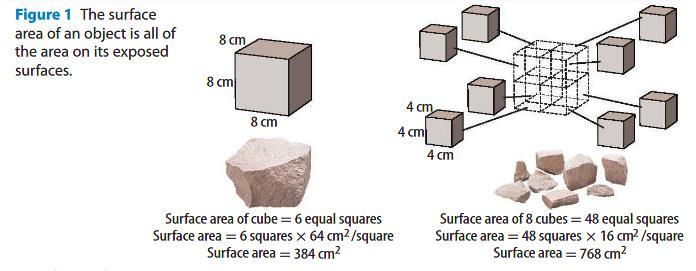 Surface Area When something is broken into smaller pieces, it has a greater