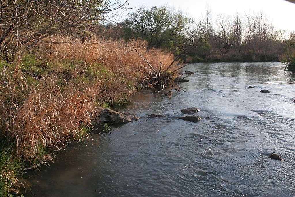 How to Maintain or Restore Riparian Areas: Creeks / Riparian Areas are special places; they need