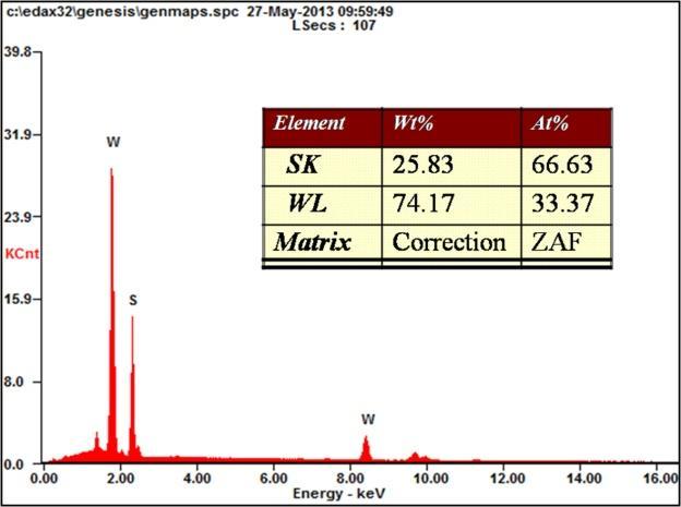 Figure S2 Energy Dispersive X-ray Spectra (EDX) of the multilayer WS 2 nanoflakes.