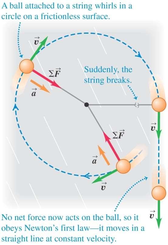 Ch5: The dynamics of uniform circular motion In uniform circular motion, both the acceleration and force are centripetal.