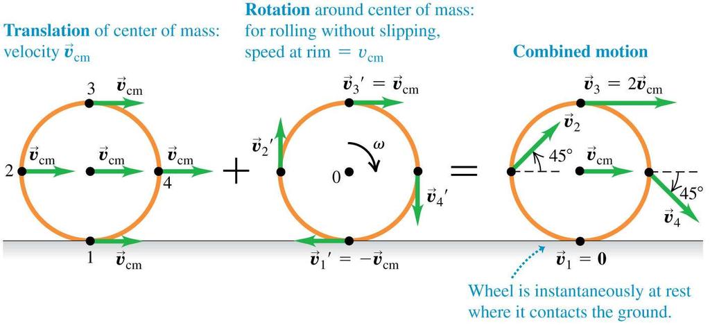 Rolling without slipping The motion of a rolling wheel is the sum of the translational motion of the center of mass plus the