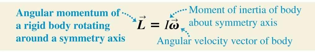 Angular momentum For a rigid body rotating around an axis of symmetry, the angular momentum is: For any system of particles, the rate of