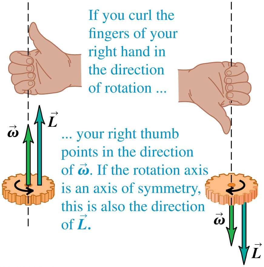 Angular momentum The angular momentum of a rigid body rotating about a symmetry