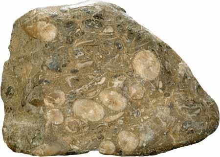 The particle size in conglomerate varies from 2 mm to more than 256 mm.