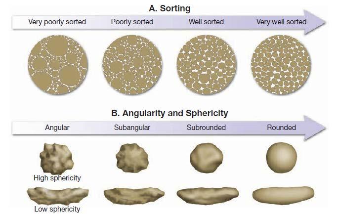 PARTICLE SIZE AND SHAPE OF DETRITAL SEDIMENTARY ROCKS Particle shape in detrital sedimentary rocks determines how far the particles travelled before