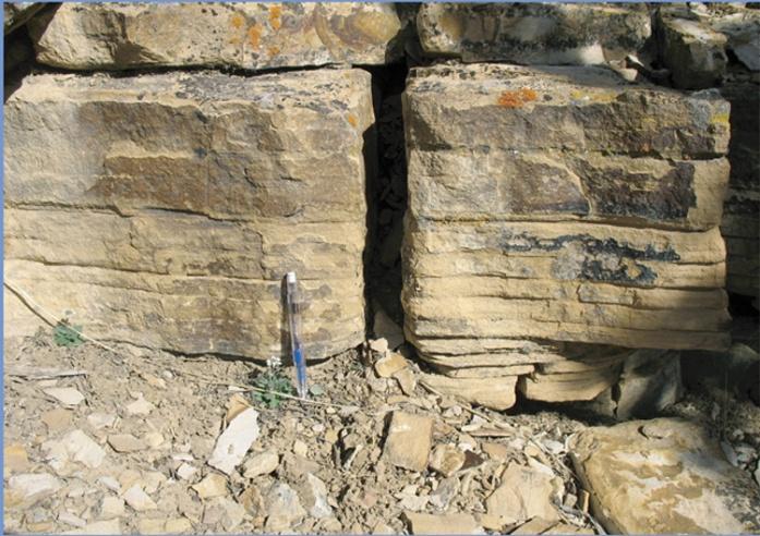 BEDDING OR STRATIFICATION Sedimentary rocks form as layer upon layer of sediment accumulates in