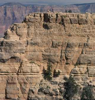 These layers, called strata or beds, are probably the single most common and characteristic feature