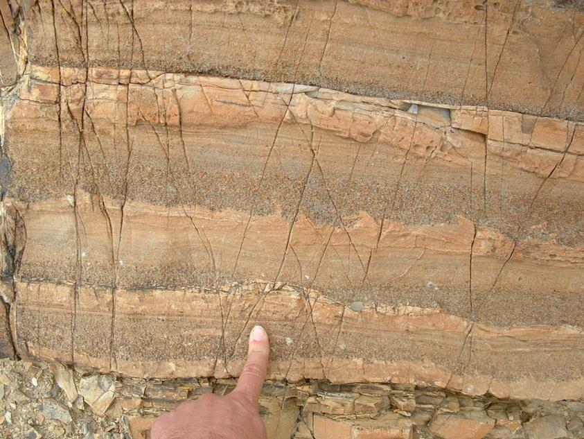 CROSS BEDDING AND GRADED BEDDING Sediments usually accumulate as particles that settle from a fluid, most strata are originally deposited as horizontal layers.