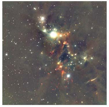 Very Young Proto-Cluster in Perseus NGC 333, Lada & Lada, ARAA 4 57 2003