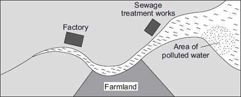 (c) The diagram shows a map of a river and the river estuary. Environmental scientists have found that water flowing into one part of the river estuary is polluted.