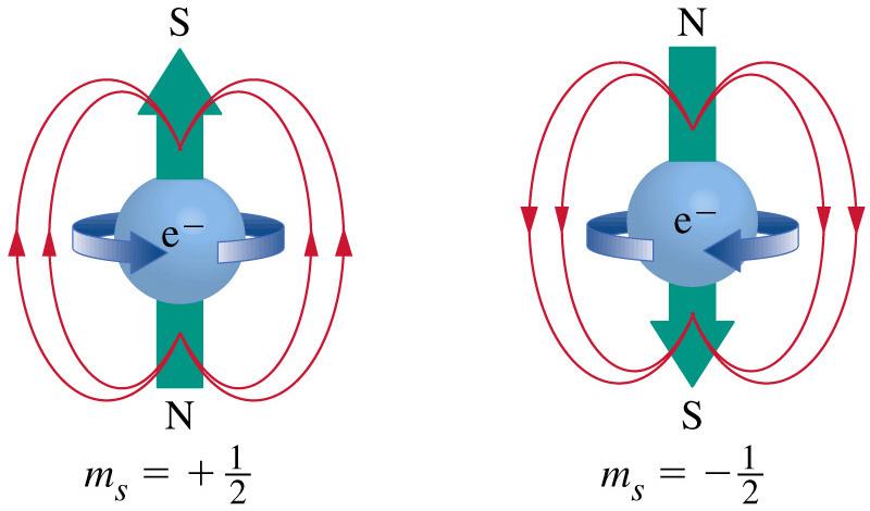 Intrinsic magnetic moment of spinning electron Electron acts like a (quantized) bar magnet that can interact with a magnetic field.