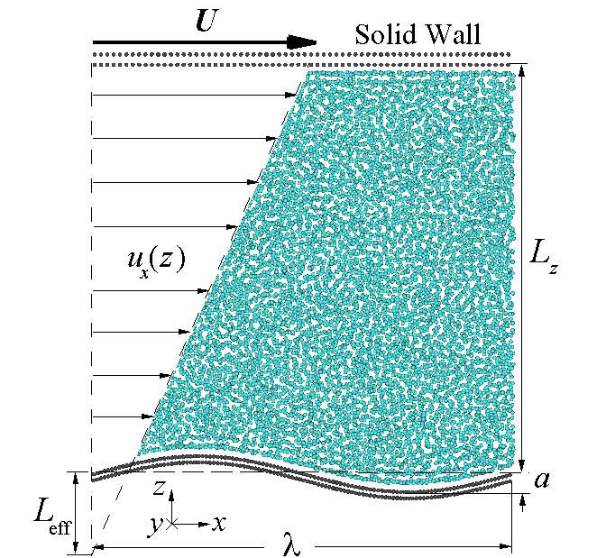 Details of molecular dynamics (MD) simulations Department of Mechanical Engineering ρ w = 0.67 σ 3 ρ = 0.81 σ 3 ρ w = 3.1 σ 3 L = λ 42σ = 0.